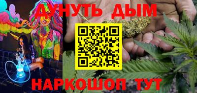 индика Рузаевка