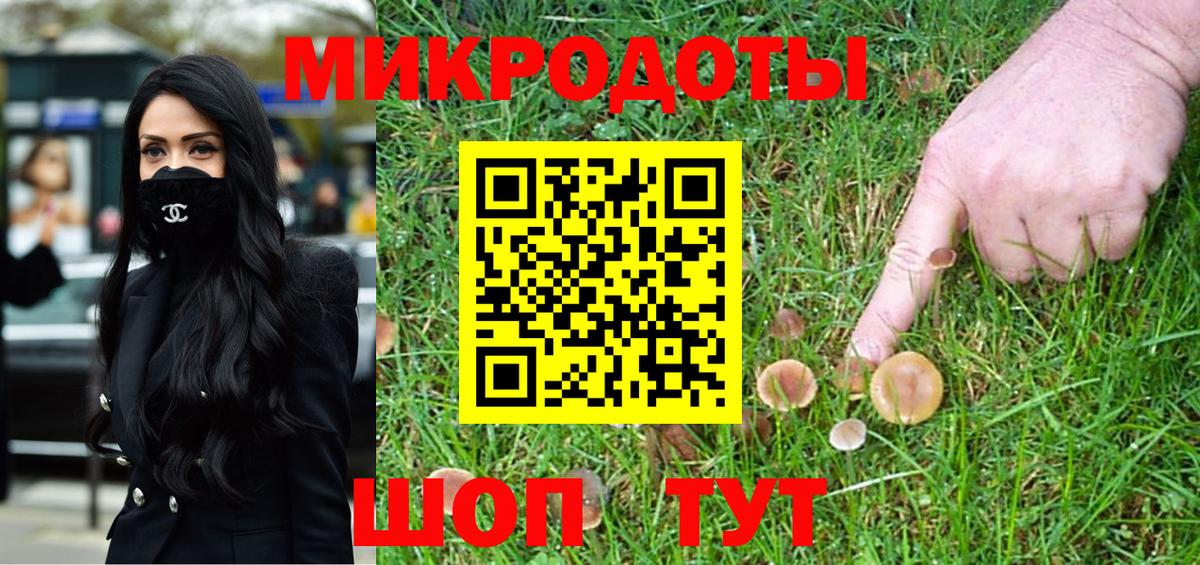 Галлюциногенные грибы Psilocybe Орехово-Зуево