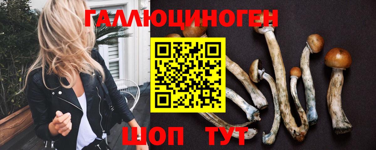 Орехово-Зуево  цена   Галлюциногенные грибы мухоморы  Вход с VPN  Псилоцибиновые грибы Psilocybe 